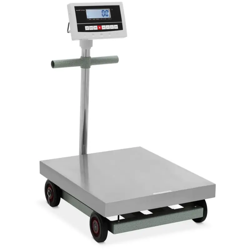 Platform Merleg Steinberg Systems Sbs Pf 600100n