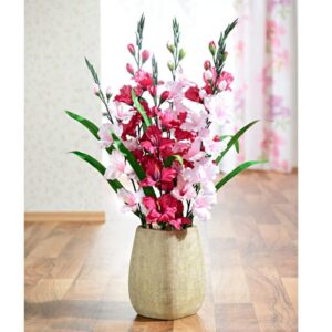 2 Gladiola