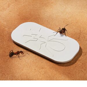 Anti-Ant Tábla