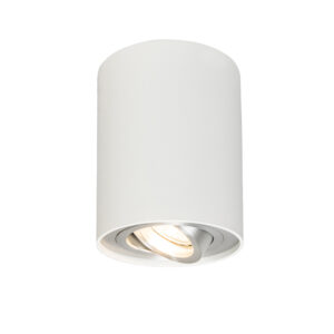 Okos Felületre Szerelhető Spotlámpa Fehér És Acél Dönthető Wifi Gu10-Zel - Rondoo Up – Qazqa